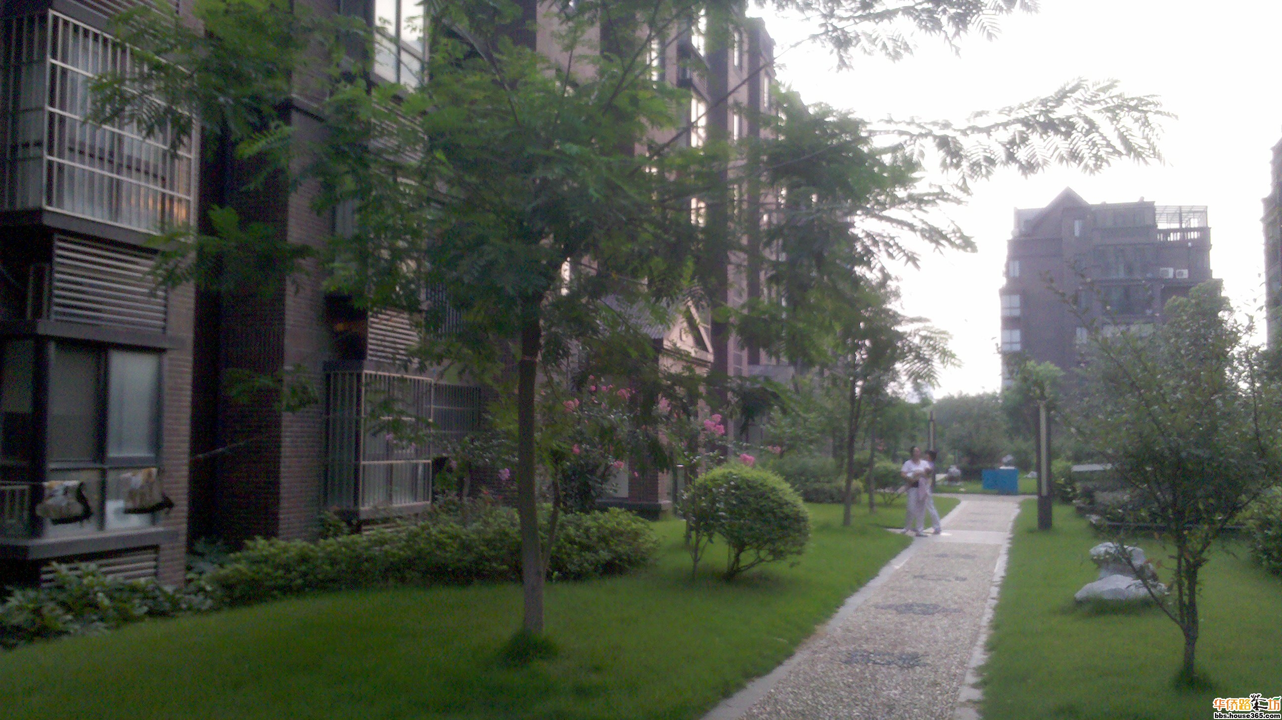 小区美景