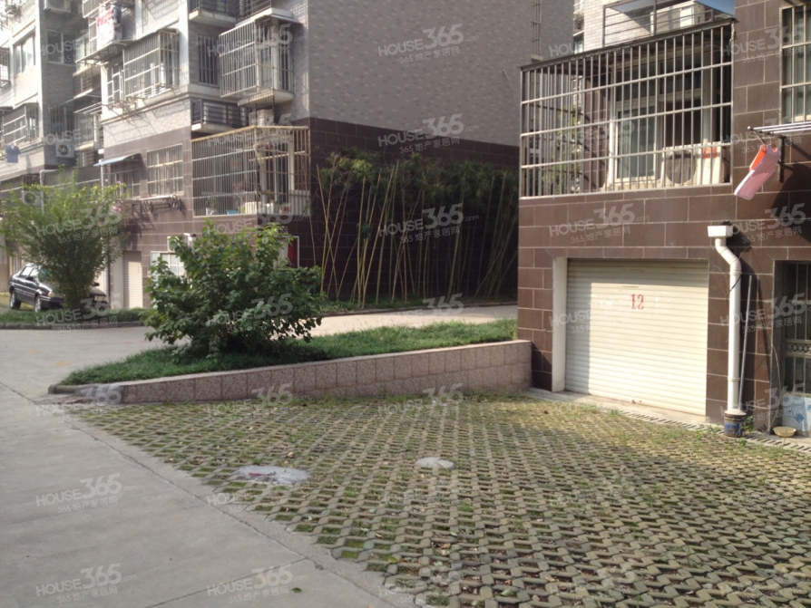 六合老城区小学路小学花园旁作文双语精装三房名门难忘白果一事件的400字图片