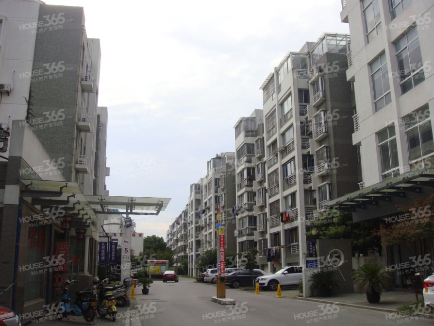 风住街谱子