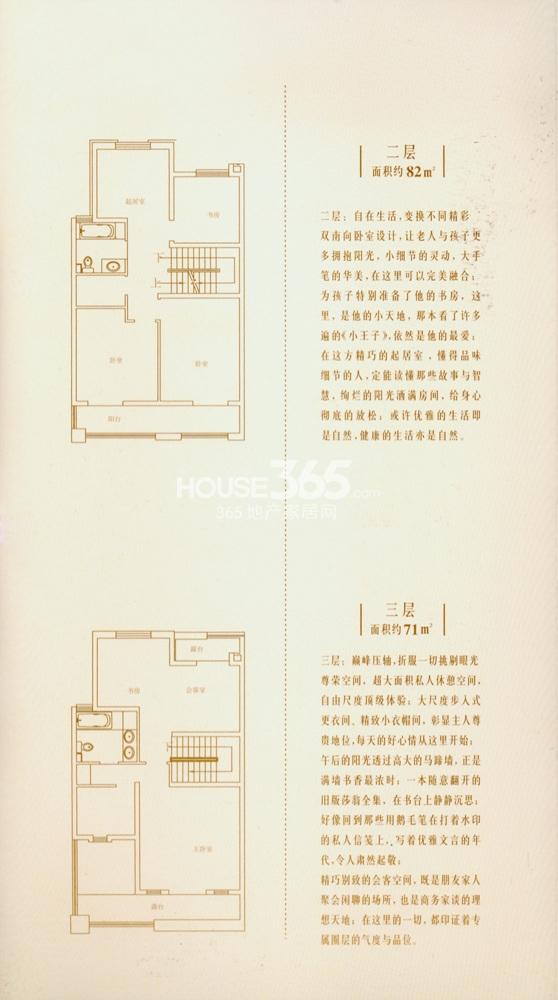 中北英郡中北英郡300平方米联排别墅户型图-南