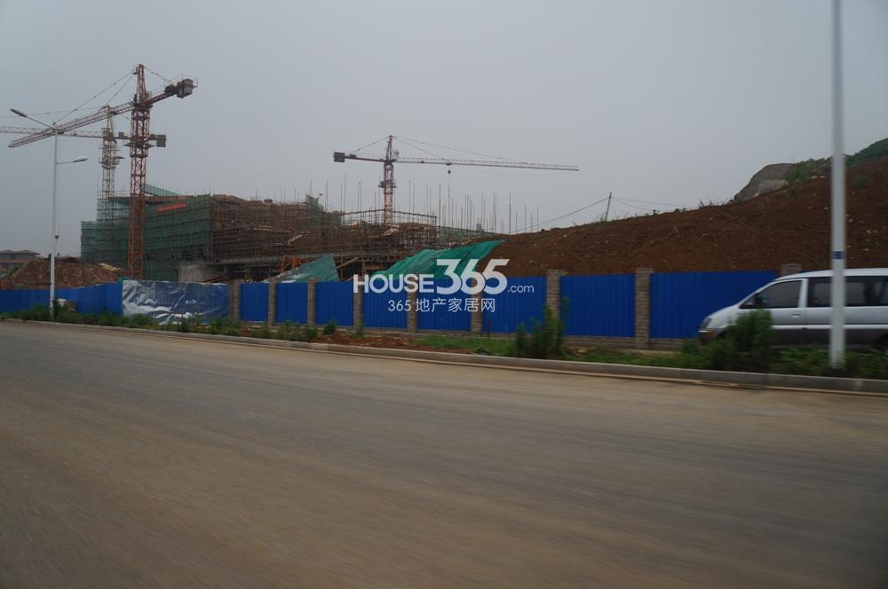 鹤山楼盘排行榜_8月第5周鹤山人气楼盘榜来了这些楼盘很优秀!