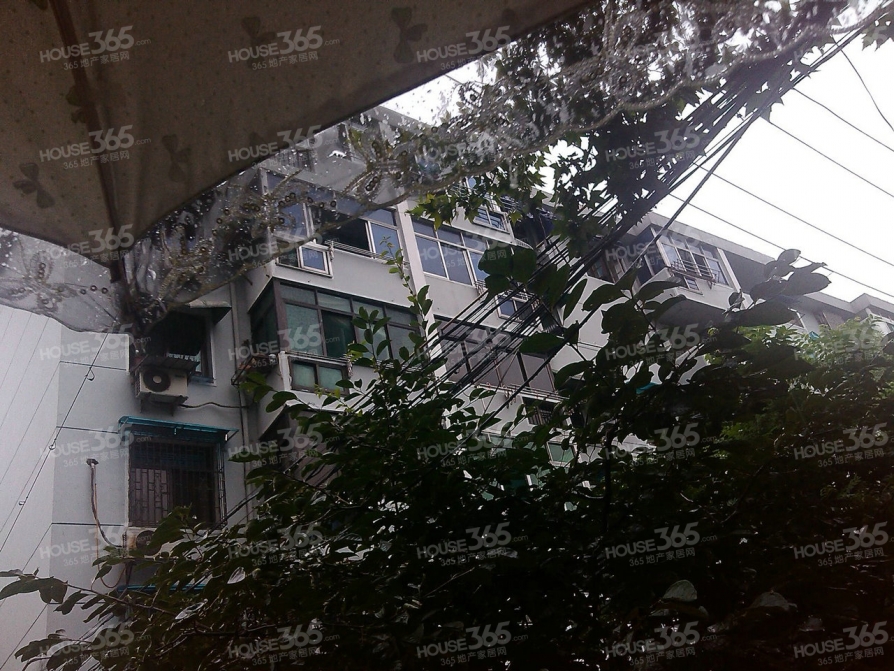 合肥国风东风小区二手房